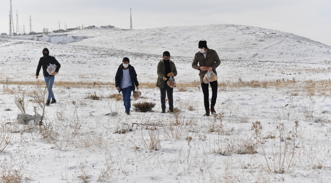Yakutiye Gençlik Meclisi kış aylarında yiyecek bulmakta zorlanan hayvanlar için seferber oldu