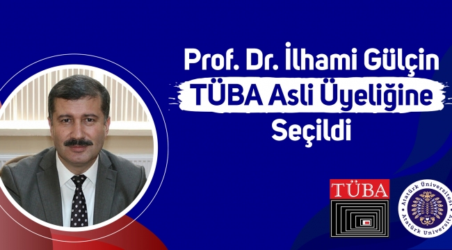 Prof. Dr. İlhami Gülçin TÜBA Asli Üyeliğine Seçildi