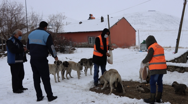 Erzurum'un Çat ilçesinde yaban hayata destek seferberliği başlatıldı