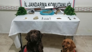 Karayazı'da Uyuşturucu Operasyonu