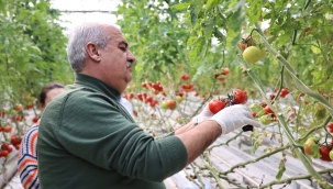 Aziziye'nin termal seralarında yeni dönem  