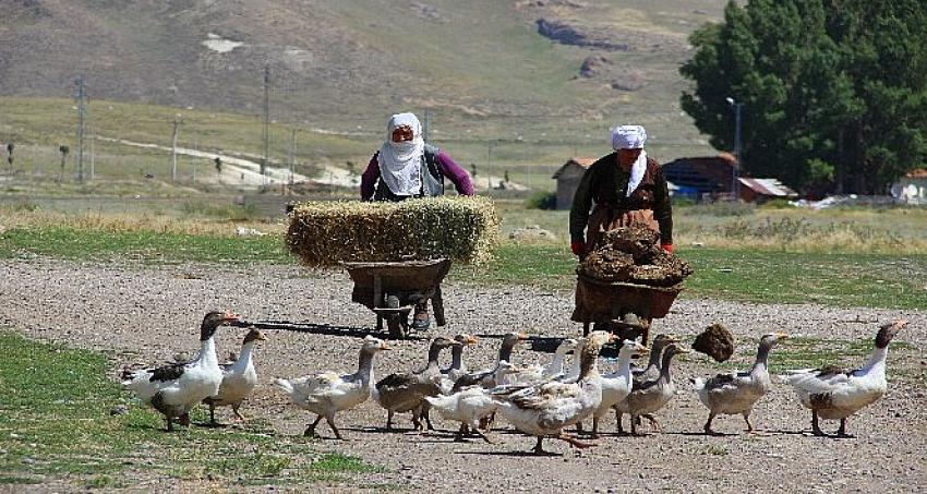 Kırsalda tezek geleneği