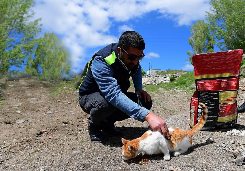 Yakutiye Belediyesi Sokak Hayvanları Unutmadı