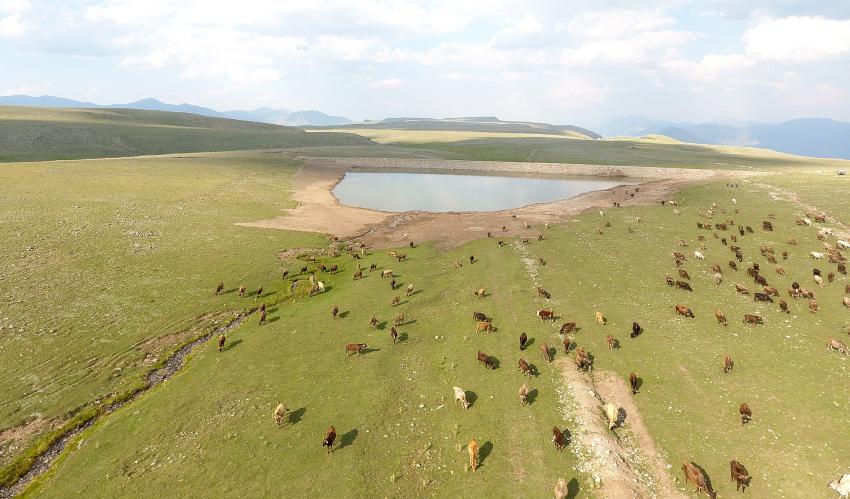 Büyükşehir Belediyesi'nden gölet rekoru