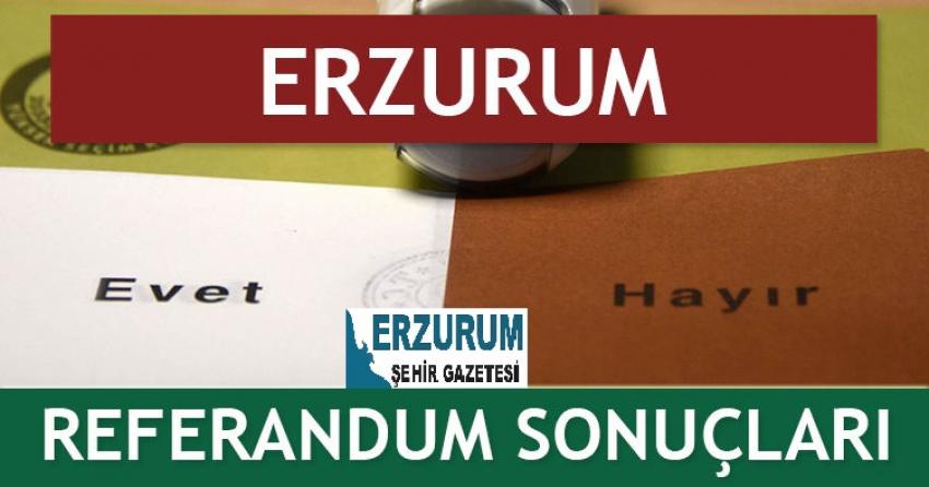 Erzurum İçe İlçe Seçim Sonuçları