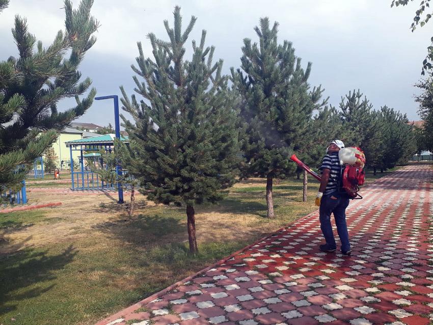 Aziziye'de haşerelere geçit yok